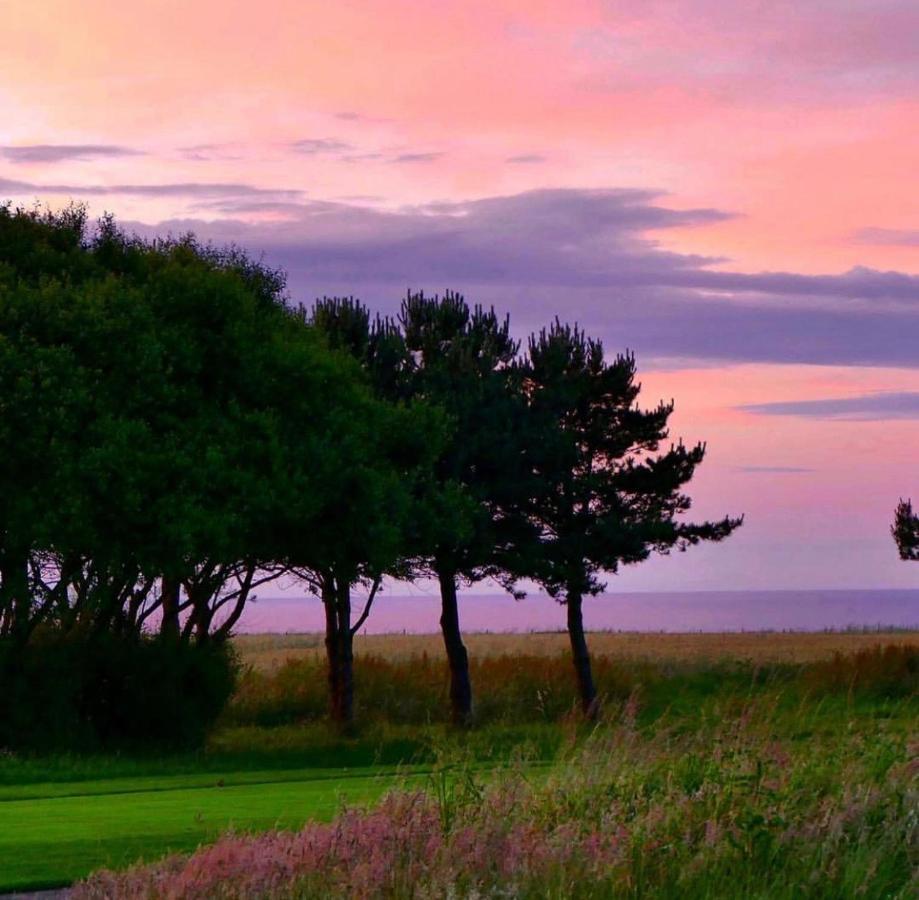 Normandy'S Green By The Sea Port-en-Bessin-Huppain Bagian luar foto
